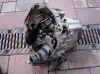 DSC00416.jpg (75037 octets)