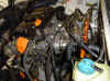 DSC00488.jpg (64765 octets)